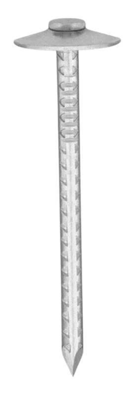 CLAVO CABEZA DE PARAGUA 2 1/2" KG